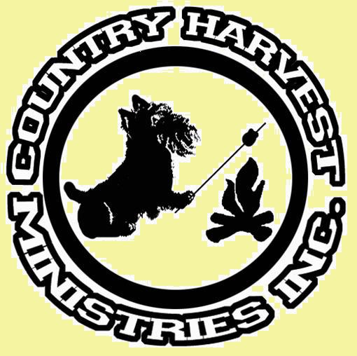 logo 001